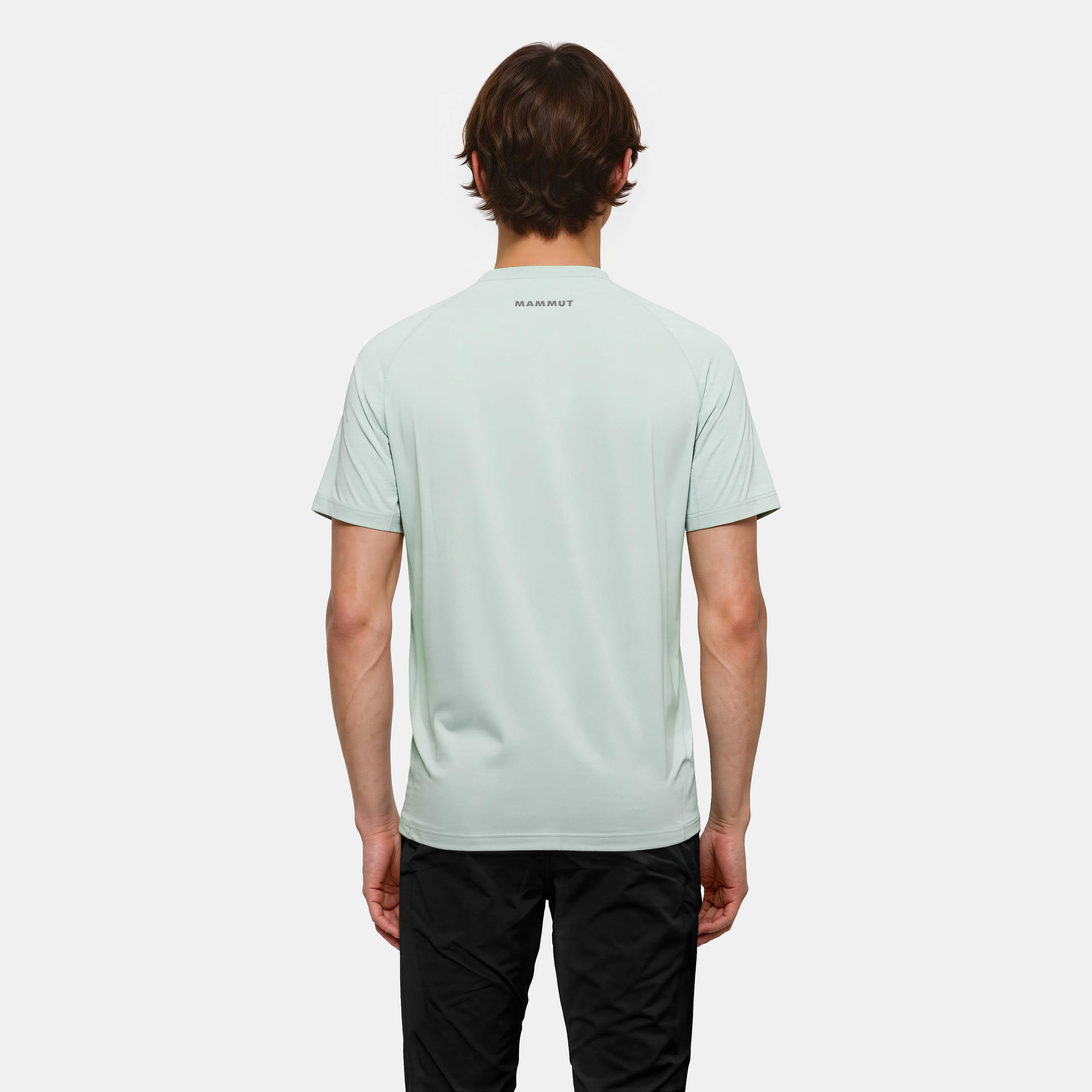 Mammut Selun FL T-Shirt Men Logo - temp, silver sage - Silver sage