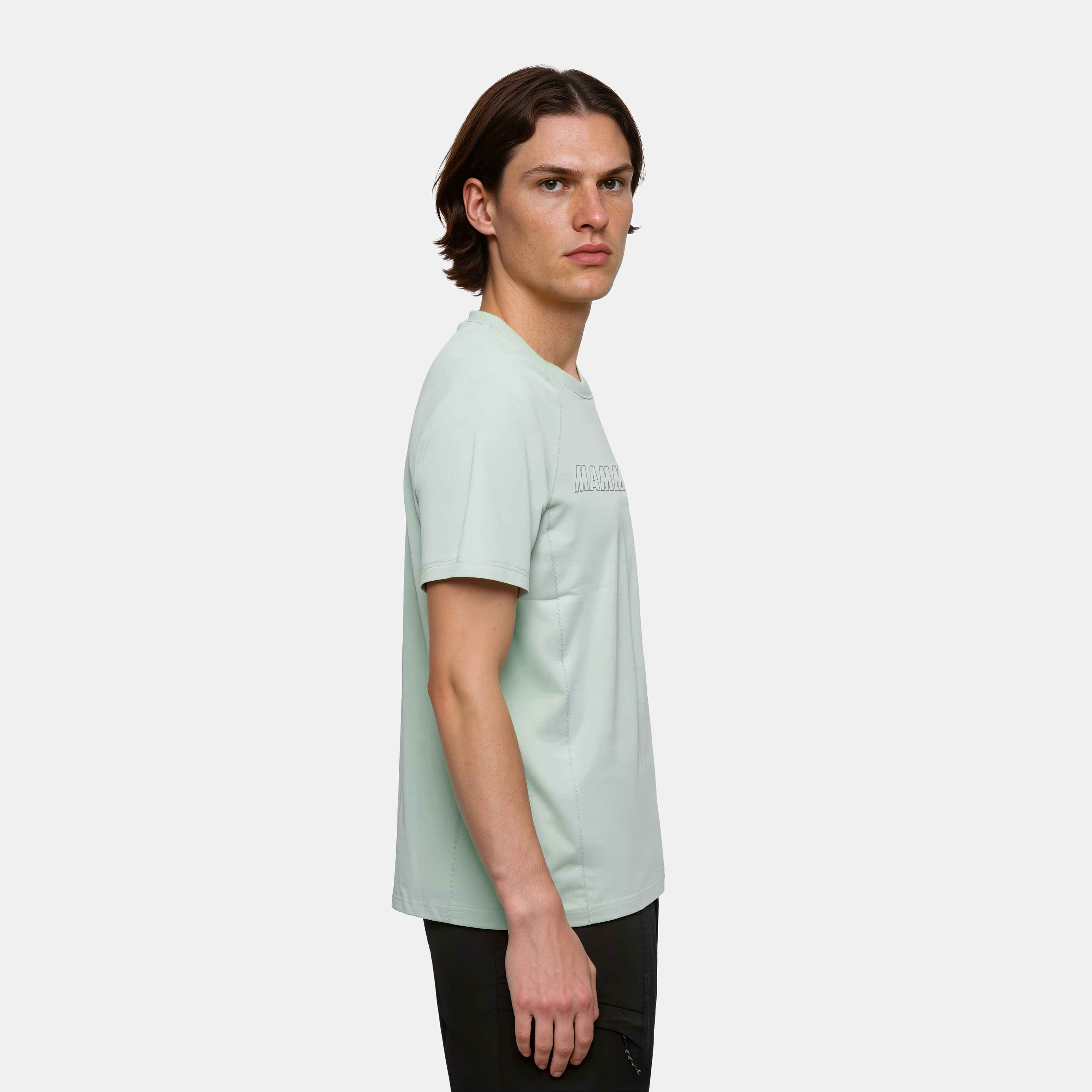 Mammut Selun FL T-Shirt Men Logo - temp, silver sage - Silver sage