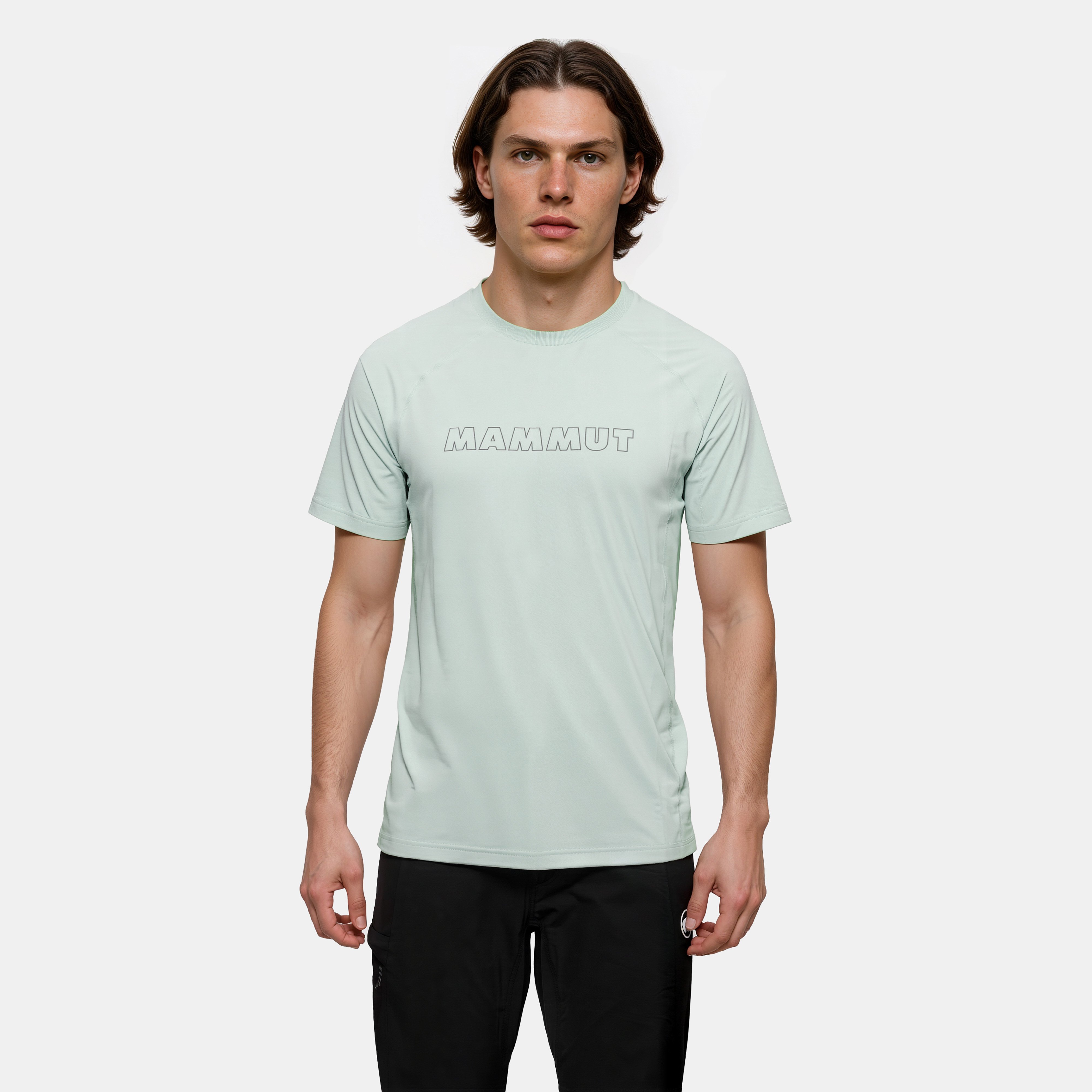 Mammut Selun FL T-Shirt Men Logo - temp, silver sage - Silver sage